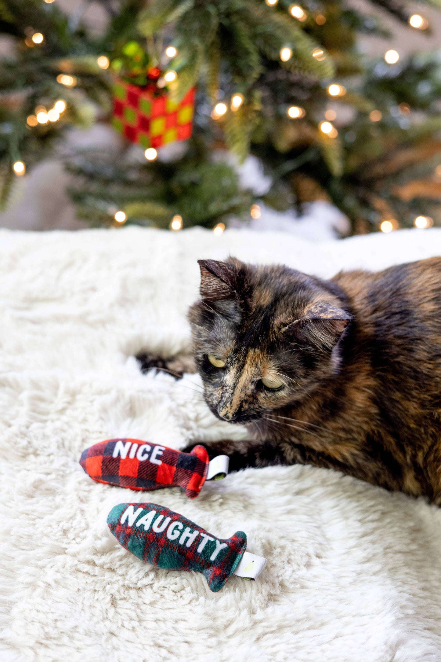Christmas Naughty & Nice Cat Toys, Set of 2, Holiday Gift