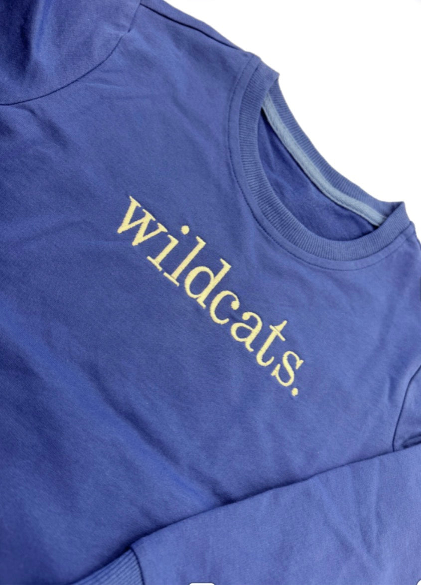 Doodlebugs EXCLUSIVE - wildcats. Sweatshirt