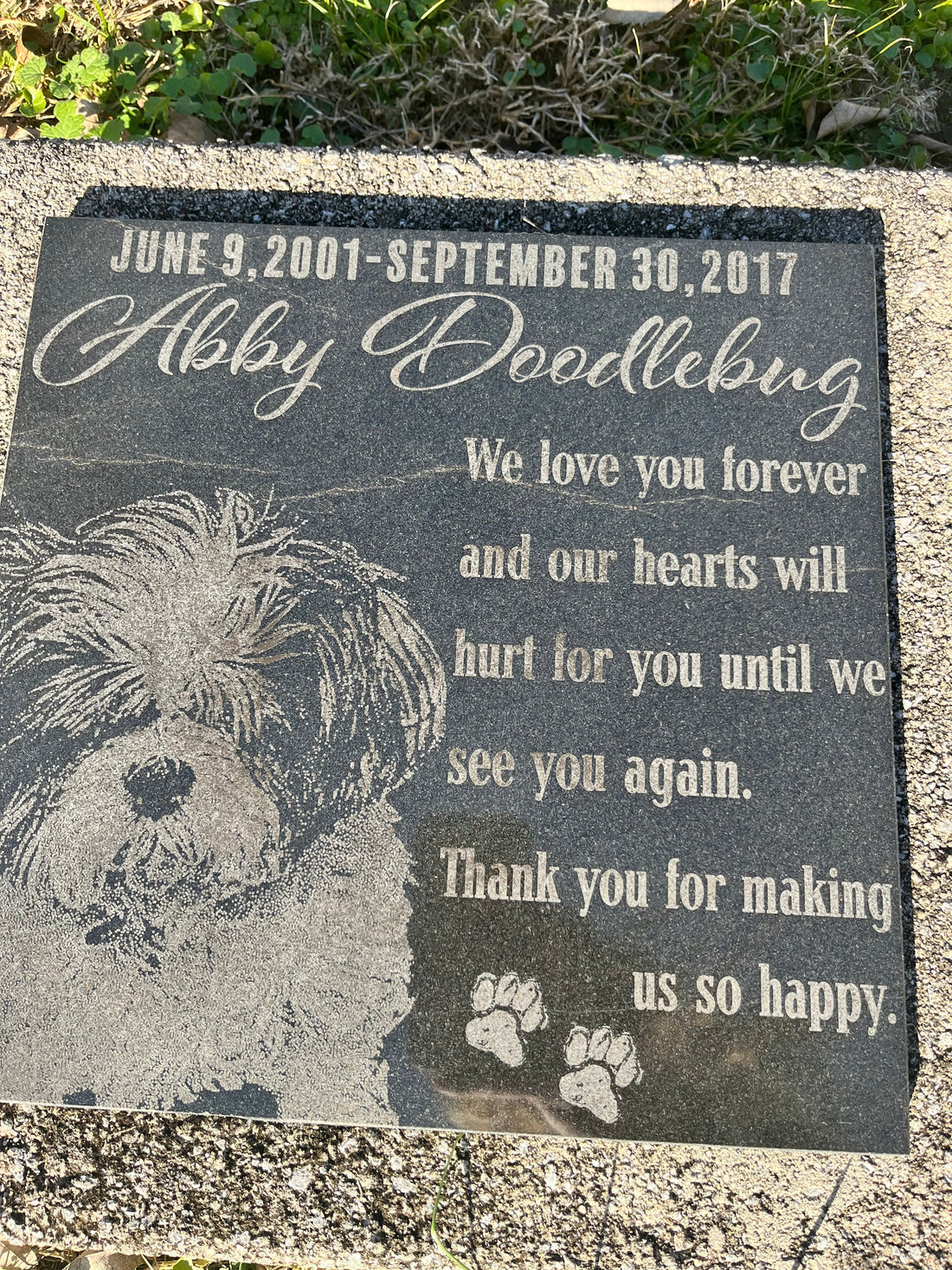 Why I Started Doodlebugs...Taking It Back to the Beginning.