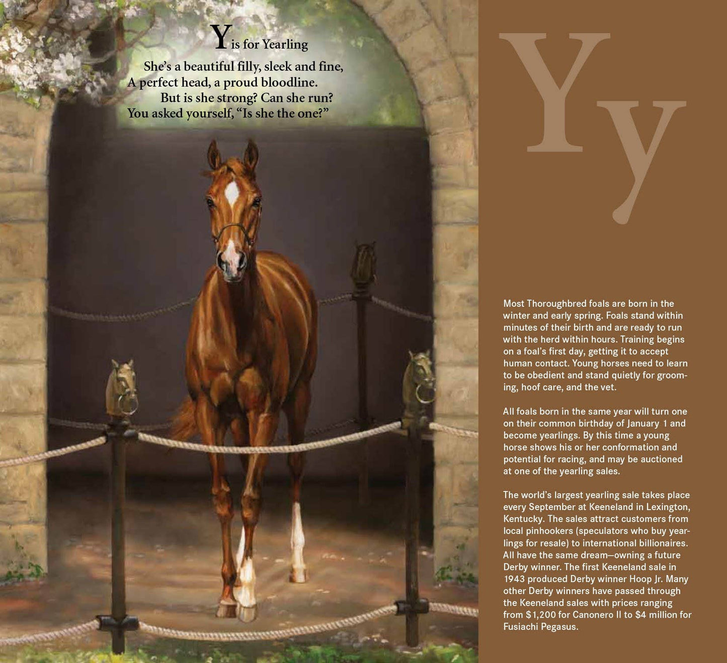 D is for Derby: A Kentucky Derby Alphabet Picture Book