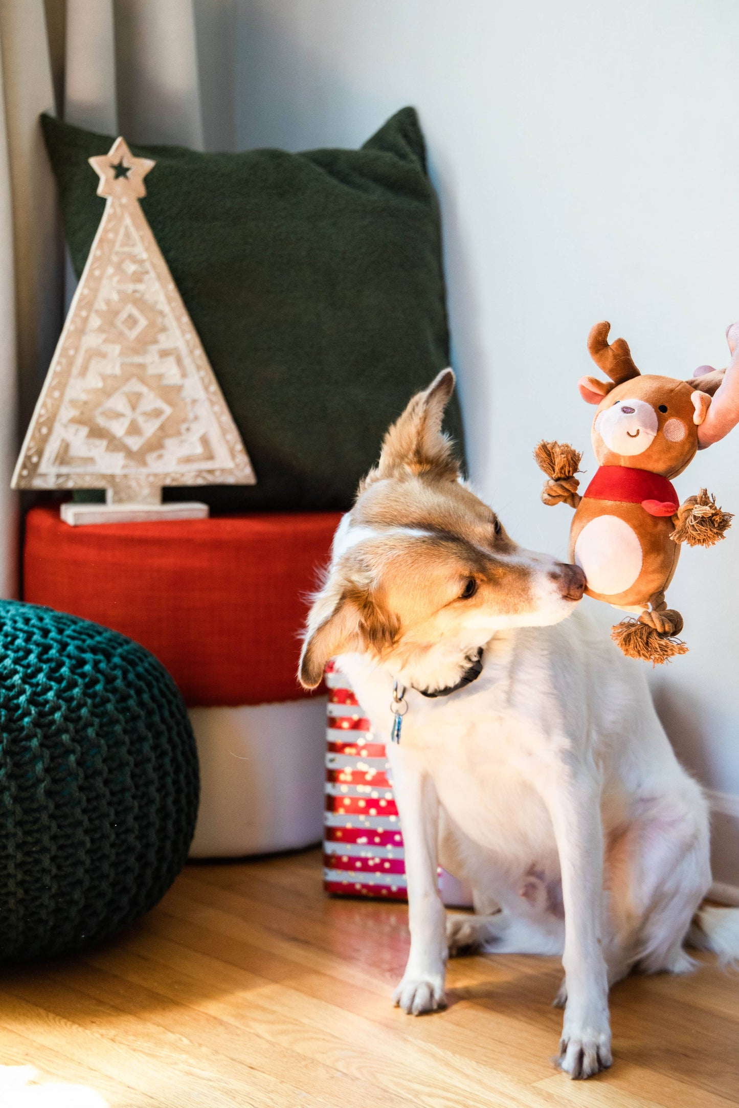 Reindeer Plush Rope Christmas Dog Toy, Holiday Pet Gift