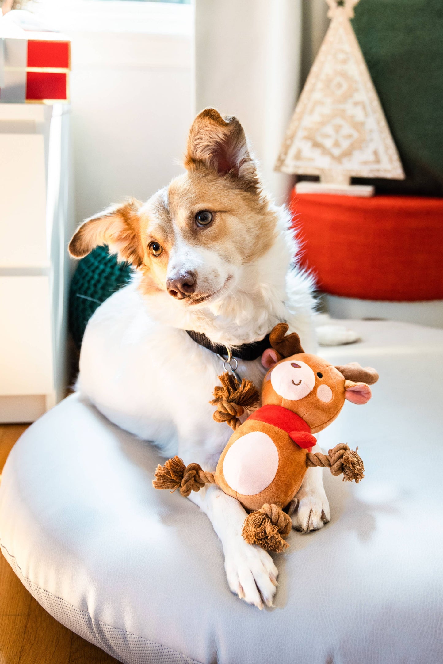 Reindeer Plush Rope Christmas Dog Toy, Holiday Pet Gift