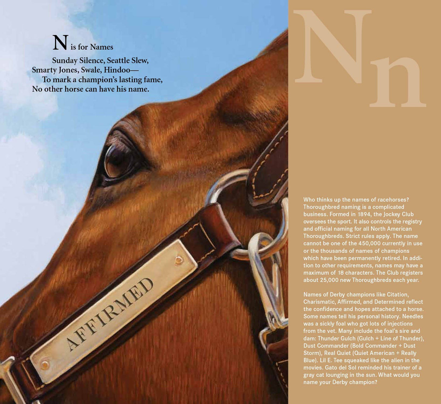 D is for Derby: A Kentucky Derby Alphabet Picture Book