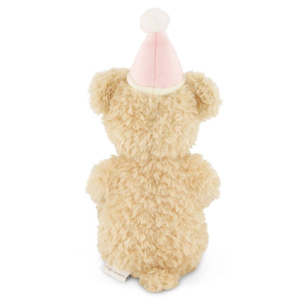 Birthday Teddy Bear Plush - Arthur with Hat (14")
