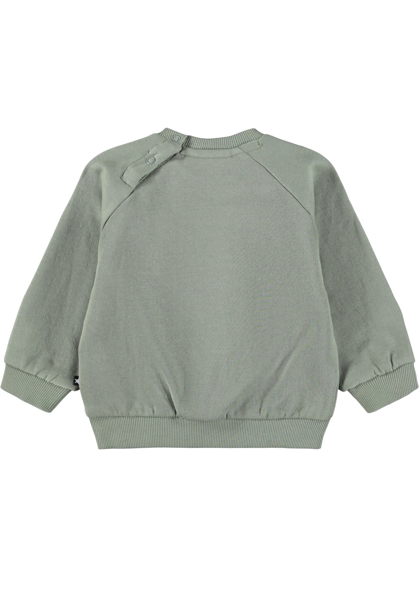 Molo Disc Cladonia Sweatshirt - Sports