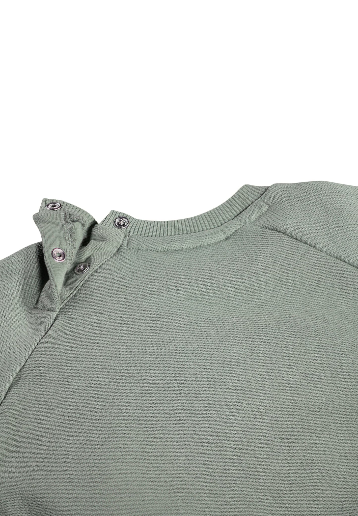 Molo Disc Cladonia Sweatshirt - Sports