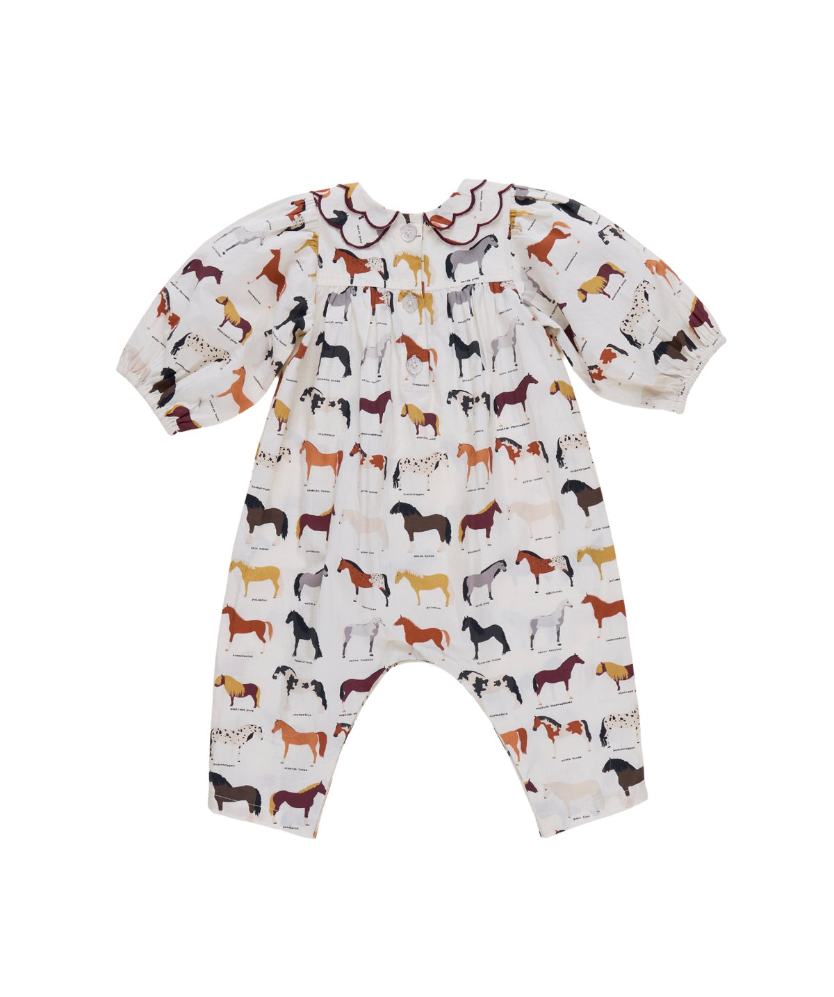 Baby Girls Darcy Jumper-Horse Breeds