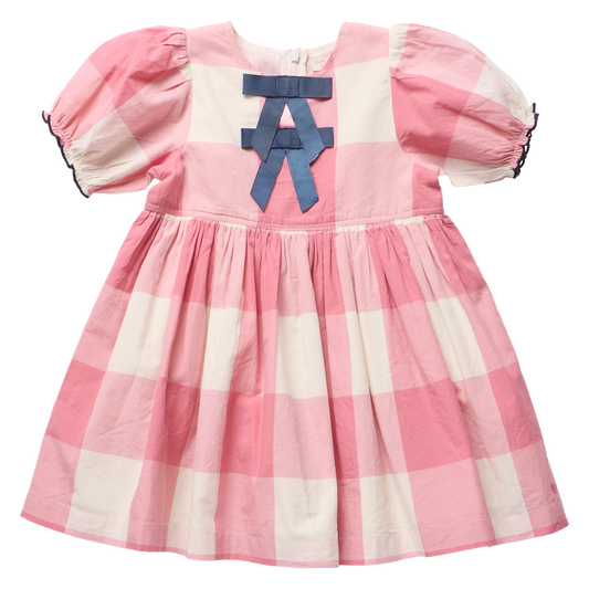 Pink Chicken Girls Hermione Dress - Pink Checks