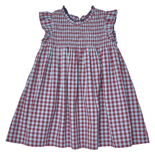 Pink Chicken Girls Stevie Dress - Red and Light Blue Check